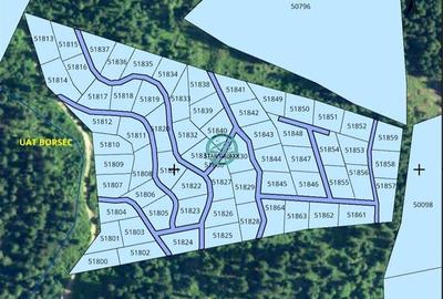 Padure de vanzare sup. 3.6 ha la 400 m de drum asfaltat in Boresc - 2