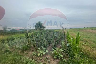 Casa de vanzare in Orlat cu 2200 mp teren parcelabil - 14