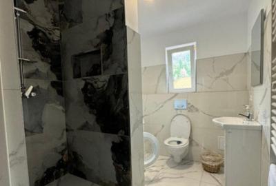 Casă cu 7 camere cu Teren 2500 Mp în Sucevița - 3