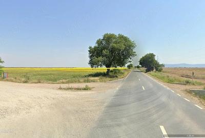 Teren de 480000 mp, în Horia - 4