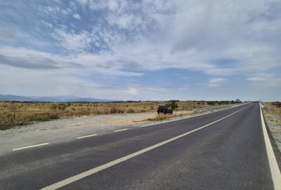 Teren intravilan - 1070 mp - str. Ciocarlau - spre Preajba - 2