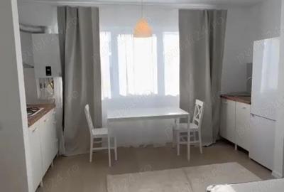 Garsonieră nedecomandată în Dudu - 5