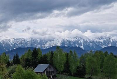 7.000 mp, pozitie spectaculoasa, fara vecini, Fundatica, Brasov - 18