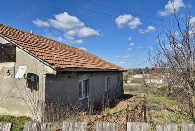 Casă cu Teren 3437 Mp în Central - 1