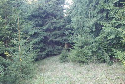 Teren de 162000 mp, în Platonești - 2
