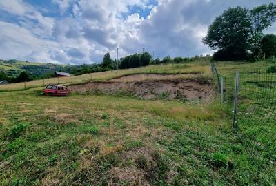 Teren de 1600 mp, în Gilău - 5