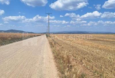 Teren 12.500 mp, pretabil dezvoltare industriala - Harman - 3