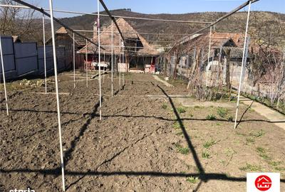 Casă cu 3 camere cu Teren 1100 Mp în Pănet - 2