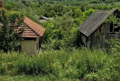 Teren de 2727 mp, în Mihăești - 3