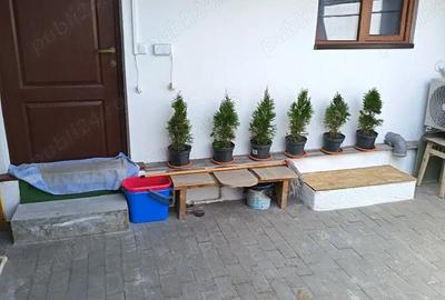 Garsonieră decomandată în Central - 4