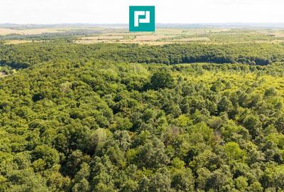 Teren agricol extravilan de 22900 mp, în Exterior Sud - 13