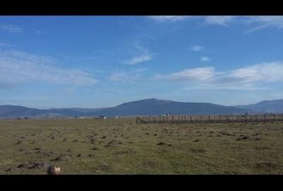 Spațiu comercial, în Prejmer - 8