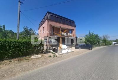 Casă individuală cu 4 camere cu Canalizare în Lunca Cetățuii - 2