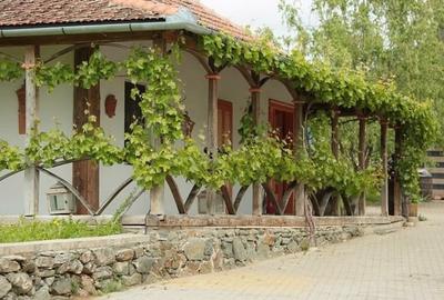 Proprietate specială, de 1,000 mp, în Ghioroc - 8