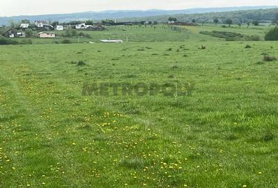 Teren intravilan 438 mp | Calea Cisnadiei - Str. Zorilor | Potential excelent - 6