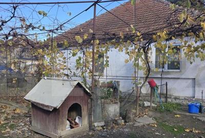 Casa 2 camere, 95 mp . Teren 4446 mp - Amati - 1