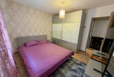 Apartament cu 2 camere decomandat, mobilat în Brazda lui Novac - 3