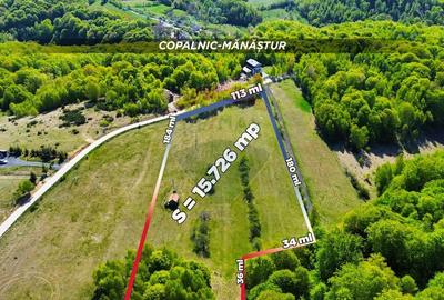 Teren extravilan de 7500 mp, în Preluca Nouă - 9