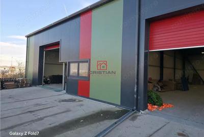Inchiriere depozit hala spatiu industrial Theodor Pallady - Drumul Intre Tarlale - Oxigenului - 4