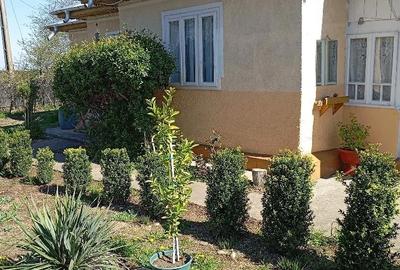 Casă cu 4 camere cu Teren 3210 Mp în Constantinești - 4