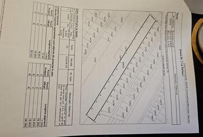 Teren Construcții intravilan de 6800 mp, în Berceni - 3