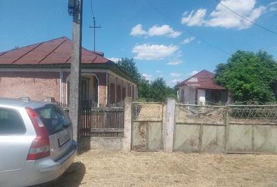 Casă cu Teren 1800 Mp în Ciușlea - 2