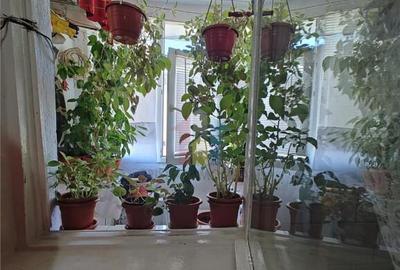 2 camere, etaj 3, confort 1 decomandat, Dorobanti-Tineretulu - 9