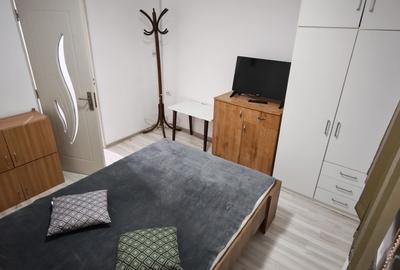 Apartament cu 2 camere decomandat în Buziașului - 4