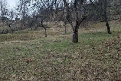 Spațiu comercial, în Valea Vișeului - 6