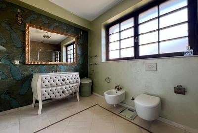 Casă individuală cu 10 camere cu Canalizare în Iancu Nicolae - 23