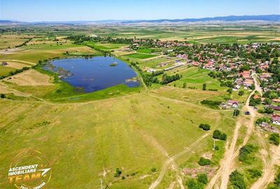 Teren agricol extravilan de 14000 mp, în Periferie - 6