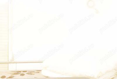 Cazare muncitori in elisabetin, zona apropiata de zona cal. sagului - 5