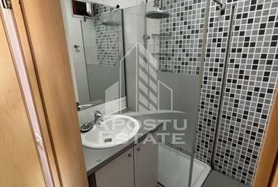 Apartament cu o camera,renovat complet, zona  Elisabetin - 5