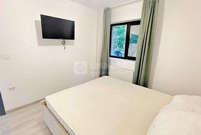 Ultracentral, 2 camere cu terasa, prima inchiriere - 4
