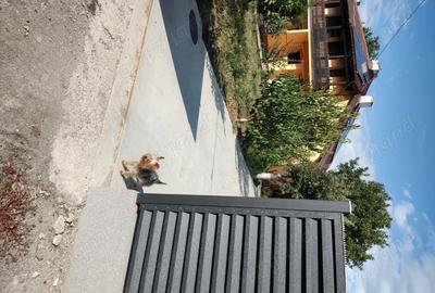 Casă cu 6 camere cu Teren 744 Mp în Vernești - 4