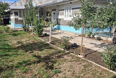 Casă cu 3 camere în Vetrișoaia - 8