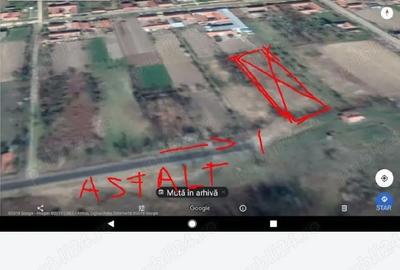 Teren de 1720 mp, în Coșteiu - 3
