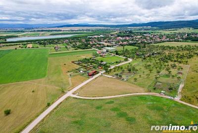 Teren de 3800 mp, în Nord