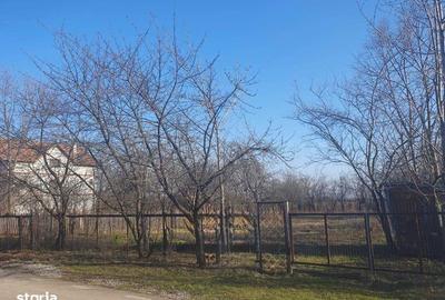 Teren de 882 mp, în Bănești - 3