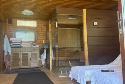 Snagov, vila individuala P+1, 6 camere, teren 2481 mp, - 11