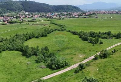 Comision 0% | Teren intravilan cu izvor | 2,730mp | Zarne?ti | - 7