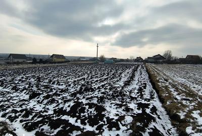 Teren de 991 mp, în Burdujeni - 6
