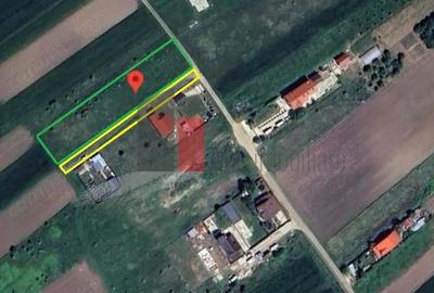 Teren de 1682 mp, în Cosoba