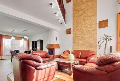 Vila Deosebita Brasov - 10