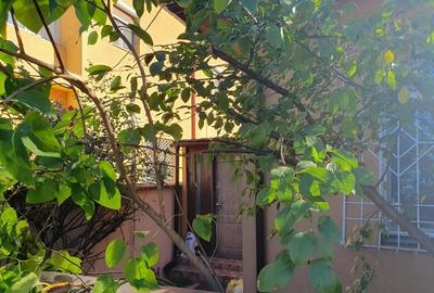 Casa la curte in zona Floreasca - 9