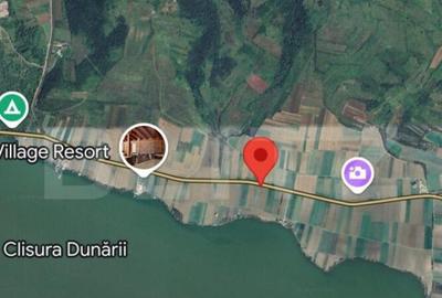 Teren intravilan de 1000 mp cu iesire la Dunare, Berzeasca! - 2