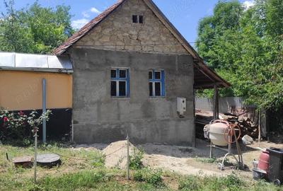 Casă cu 2 camere în Potoc - 10