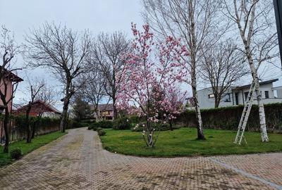 Teren Construcții intravilan de 700 mp, în Central - 3