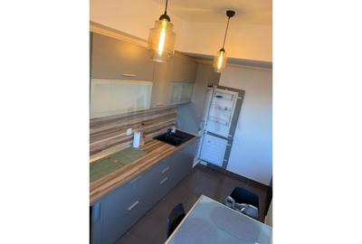 Apartament cu 2 camere semidecomandat, mobilat în Parcul Carol - 10