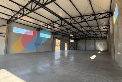 Hale de inchiriat – 600 mp, open space, acces TIR, zona intrare Baciu - 3